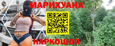 гидра Новозыбков