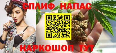 дмт Новокубанск