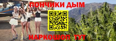 гидра Новозыбков